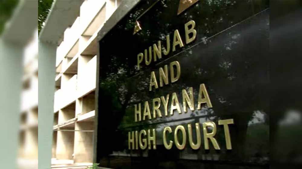 पंजाब में अवैध खनन पर हाईकोर्ट की सख्ती, 233 जगहों पर कार्रवाई के निर्देश