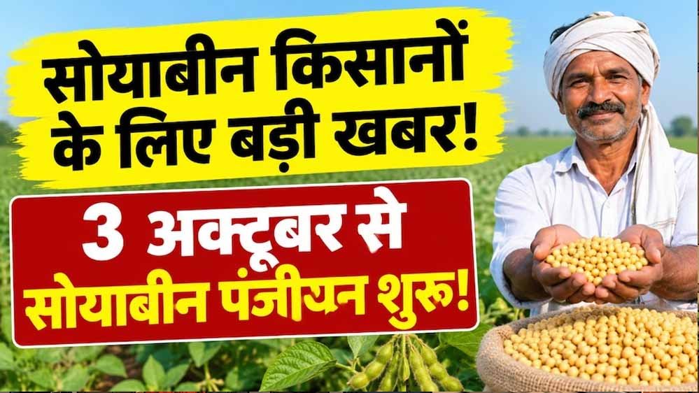 भावांतर योजना में दूसरे साल भी सोयाबीन खरीदी, 3 अक्टूबर से रजिस्ट्रेशन; ऐसे होगा सत्यापन