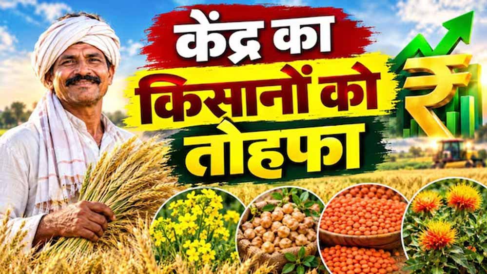 गेहूं से ज्यादा दलहन-तिलहन पर फोकस, रबी MSP बढ़ने से किसानों को मिलेगा फायदा