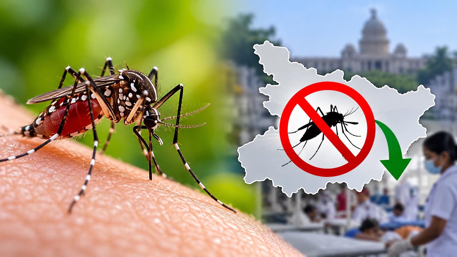 बिहार में डेंगू को लेकर राहत भरी खबर, इस साल नहीं गई एक भी जान; मरीजों की संख्या भी घटी