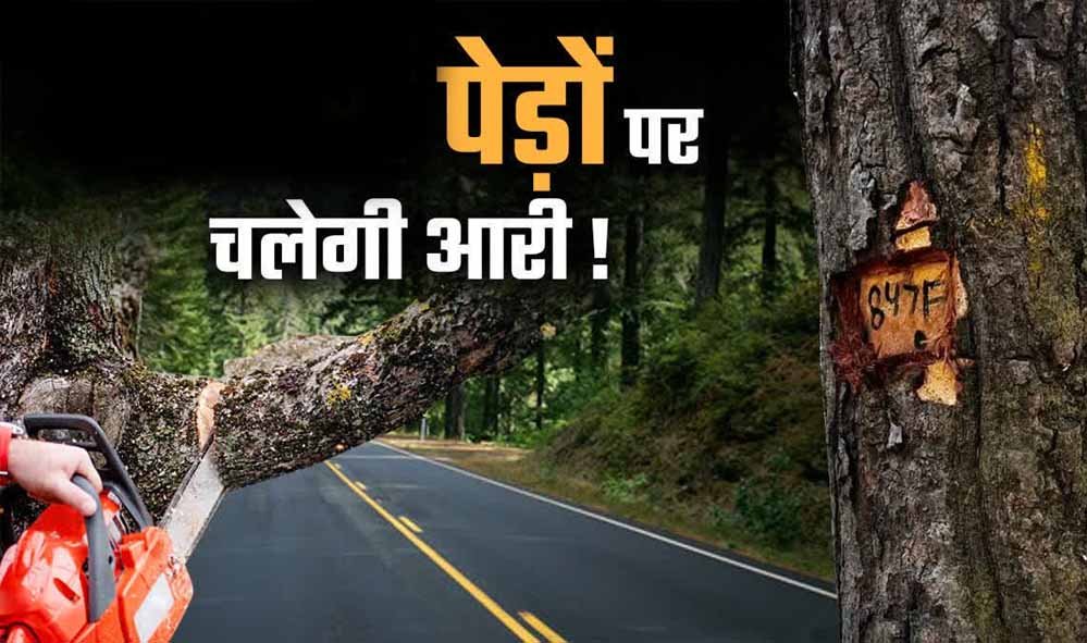 791 किमी सड़कों के लिए कटेंगे 2.89 लाख पेड़? भोपाल मास्टर प्लान 2047 पर पर्यावरणविदों ने उठाए सवाल
