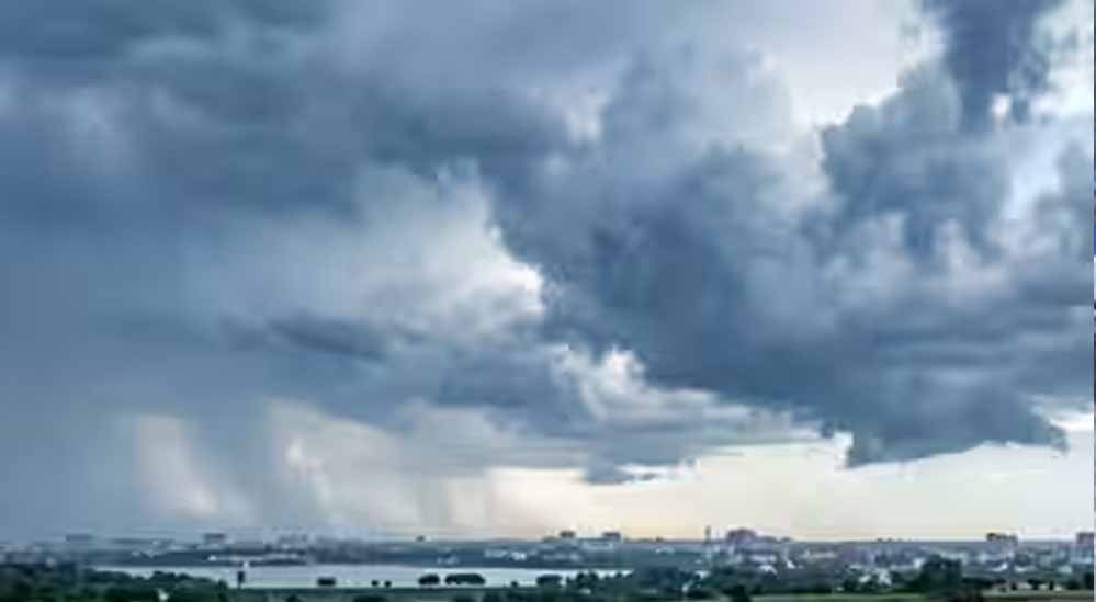 Punjab Weather Update: संगरूर में 3 डिग्री गिरा तापमान, 3 जिलों में बारिश का अलर्ट; बिजली की मांग घटी
