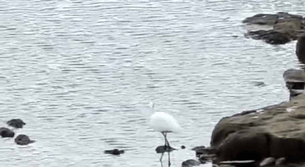 MP में मौसम संबंधी आपदाओं से 537 लोगों की जान गई, अब स्थानीय जोखिम के हिसाब से तैयारी पर जोर