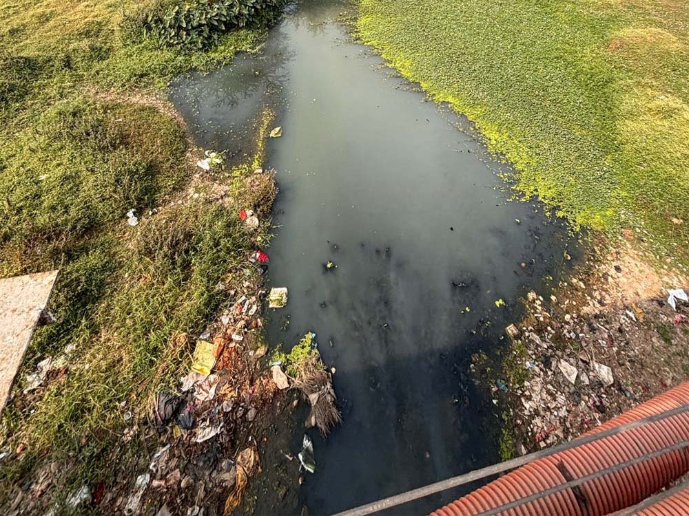अरपा नदी के प्रदूषण पर हाईकोर्ट नाराज, पूछा- 4 STP से 70 नालों का पानी कैसे होगा साफ?