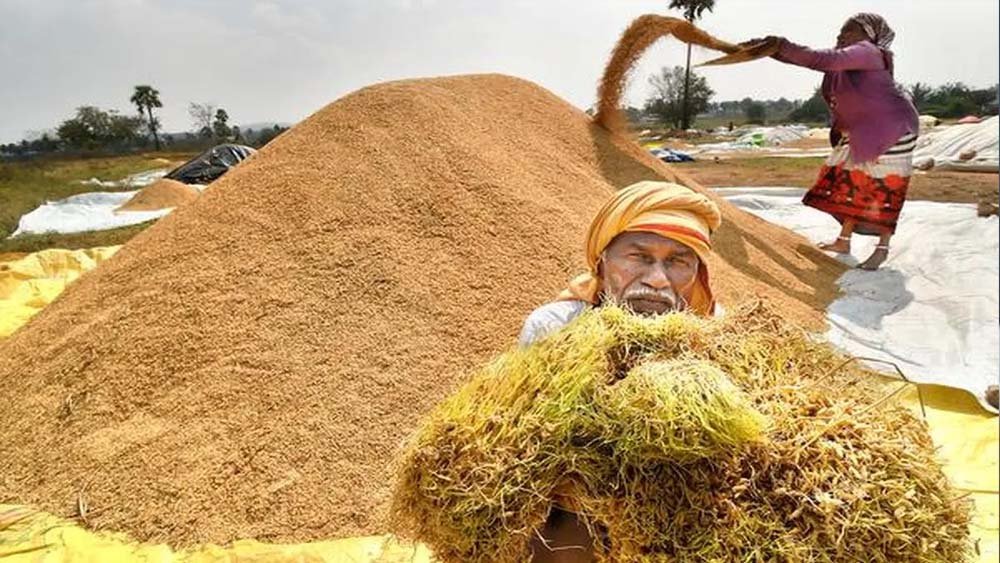 हरियाणा में धान खराब होने से नाराज किसान, कृषि मंत्री के सामने उठाई आवाज़